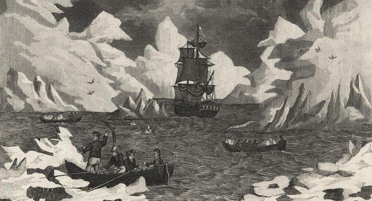 Kto pierwszy odkrył Antarktydę?
