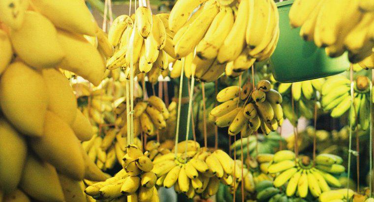 Ile bananów jest w funtach?