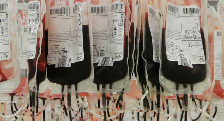 Jaki jest typ uniwersalnego dawcy krwi?