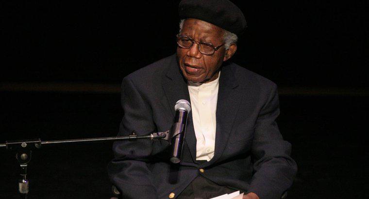 Jaka jest krótka historia "Wyborca" Chinua Achebe?