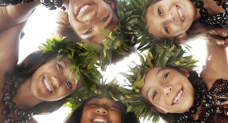 Skąd pochodzą pierwsi hawajczycy?