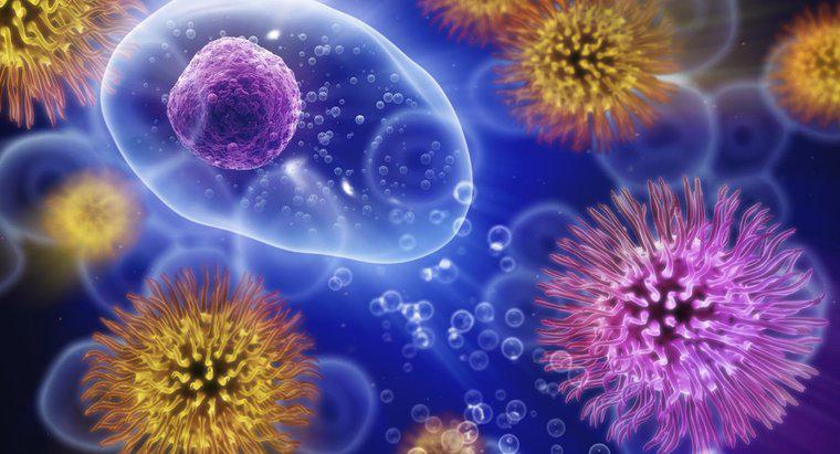 Jak długo wirus może żyć poza ciałem?