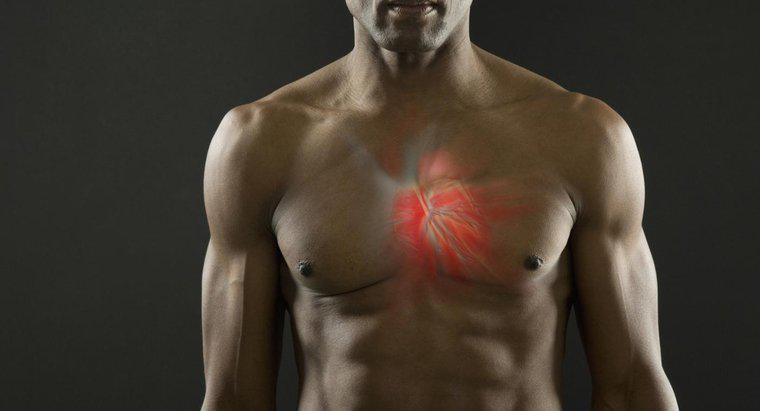 Czy mięśnie sercowe mogą być tetanizowane?