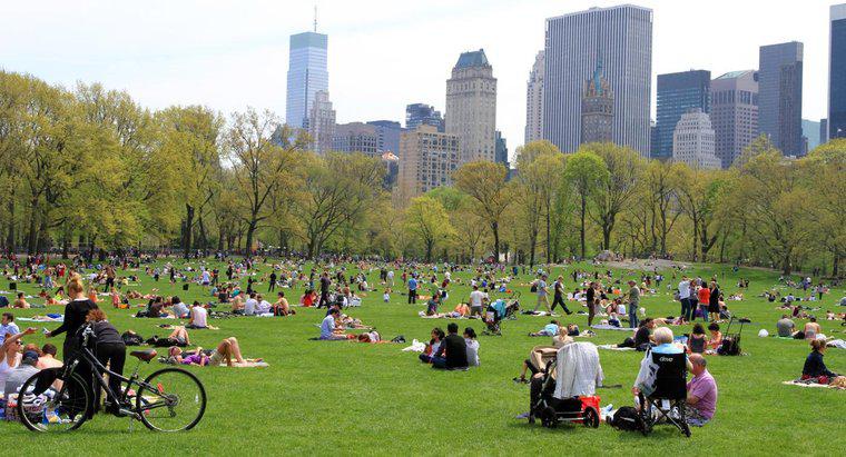Jak duży jest Central Park w Nowym Jorku?