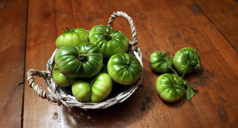 Jak zamrażać zielone pomidory?