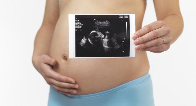 Czy pięciomiesięczny płód może przeżyć poza macicą?