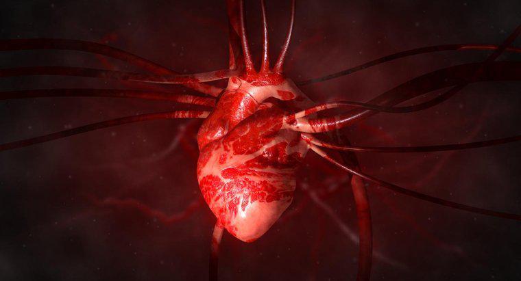 Czym jest powiększona tętnica z serca?