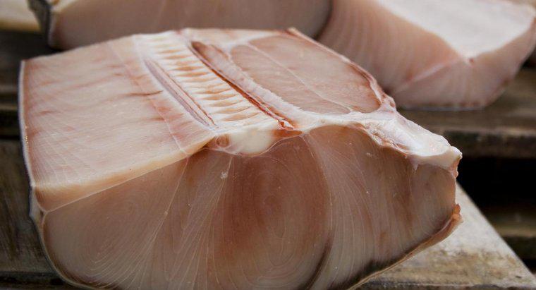 Czy mięso rekina jest bezpieczne do jedzenia?