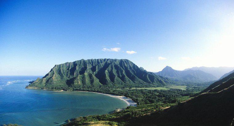Co należy do elity hawajskiej?