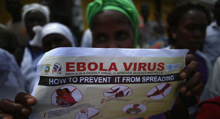 W jaki sposób ludzie mogą się chronić przed epidemią wirusa Ebola?