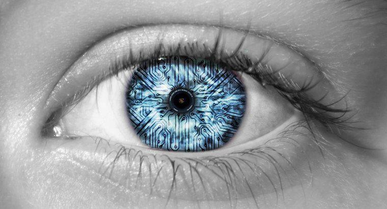 Co pozwala ludzkiemu oczu widzieć kolory?