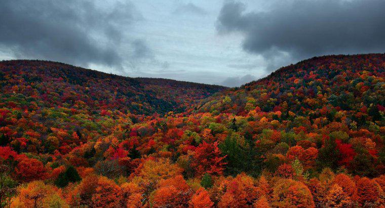 Jaki jest klimat w Vermont Podobnie jak jesienią?