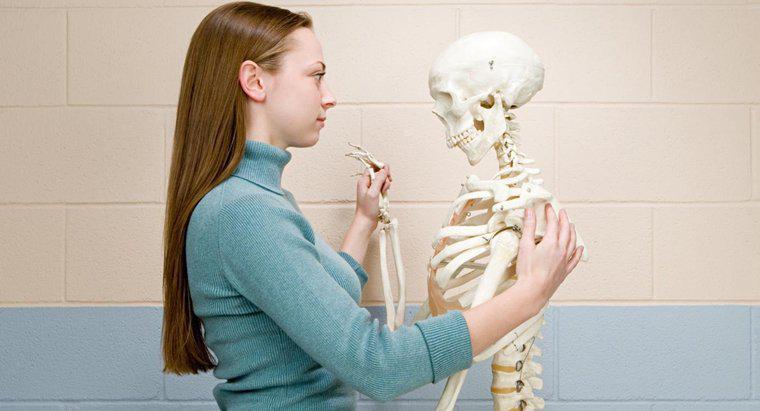 Jaki jest wynik prawidłowej gęstości kości dla kobiety?