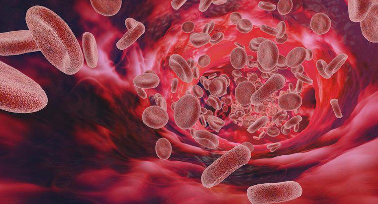 Co powoduje wysoki poziom białka we krwi?