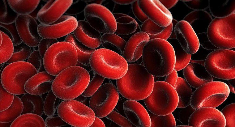 Co powoduje, że liczba krwinek czerwonych jest niska?