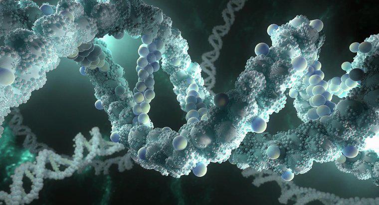 Dlaczego DNA musi być w stanie zrobić kopie samego siebie?