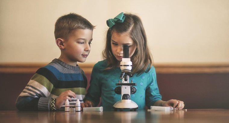 Jak działa lekki mikroskop?