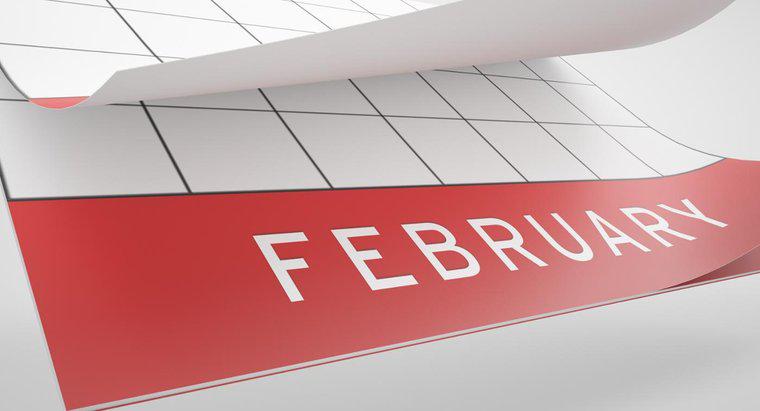 Dlaczego obchodzony jest czarny miesiąc historii w lutym?