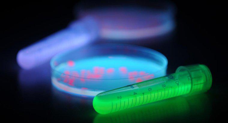 Jak żarówki UV powstrzymują rozwój bakterii?