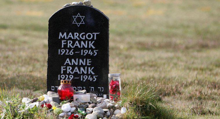Jakie były największe osiągnięcia Anne Frank?