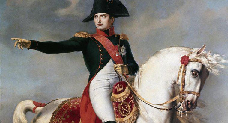 Który cel rewolucji osiągnął Napoleon?