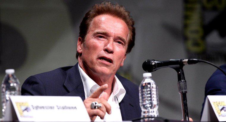 Ile to może być prasa stołowa Arnolda Schwarzeneggera?