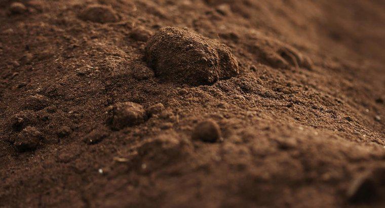 Jakie są niektóre z różnych rodzajów gleb?
