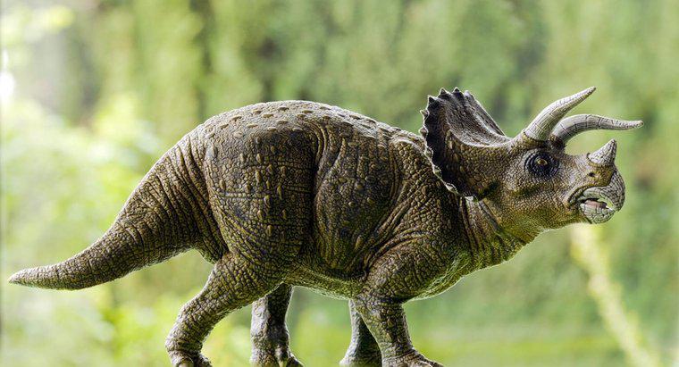 Co jadł Triceratops?