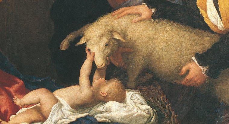 Dlaczego pasterze odwiedzają Jezusa?