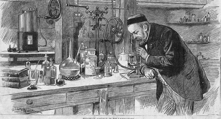 Co Louis Pasteur odkrył?