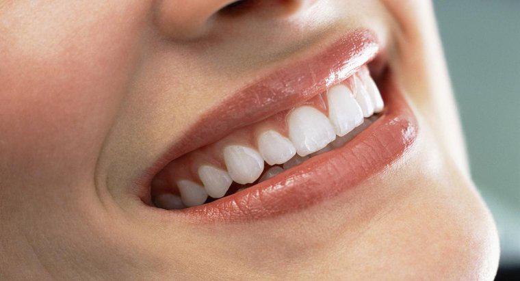 Czy dorośli mogą rozwijać nowe zęby?