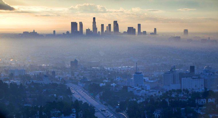 Z czego składa się smog?