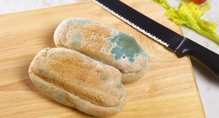 Co to jest forma chleba?